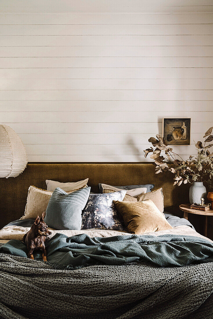 Collection of cushions on double bed with bed head