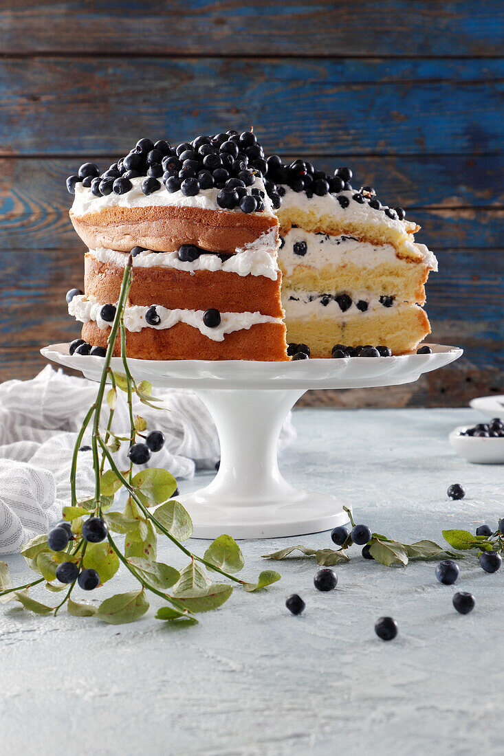 Layers of sponge cake layered with cream and blueberries