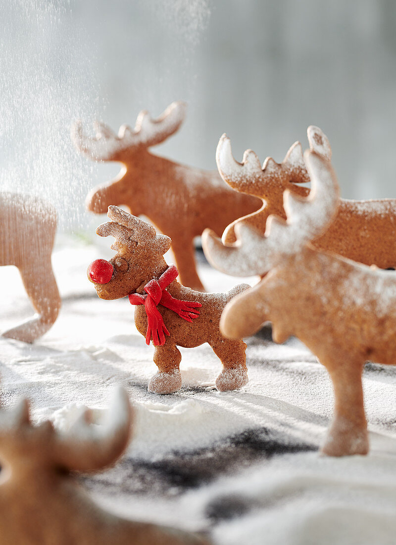 Rudi Rednose - Rentier-Plätzchen im Puderzucker-Schnee