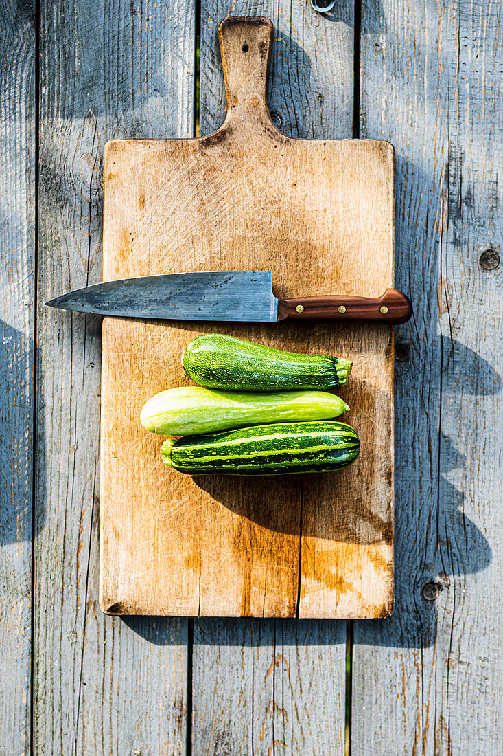 Mini-Zucchini frisch aus dem Garten