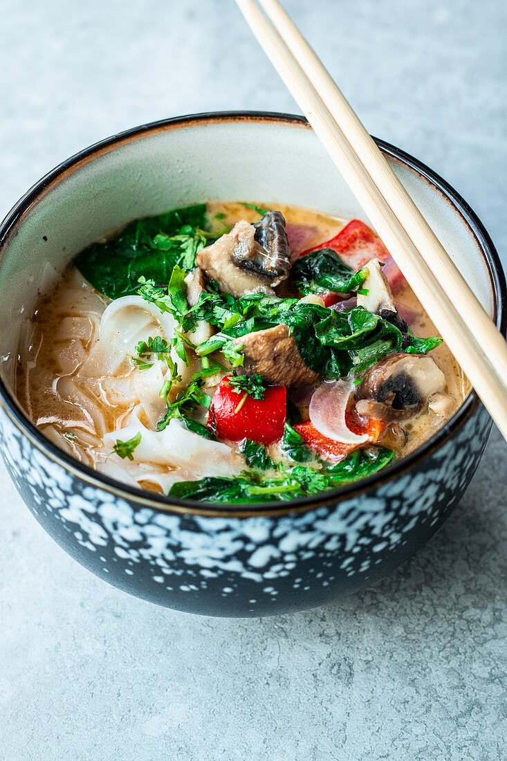 Tom-Kha-Gai-Suppe mit Reisnudeln und Gemüse