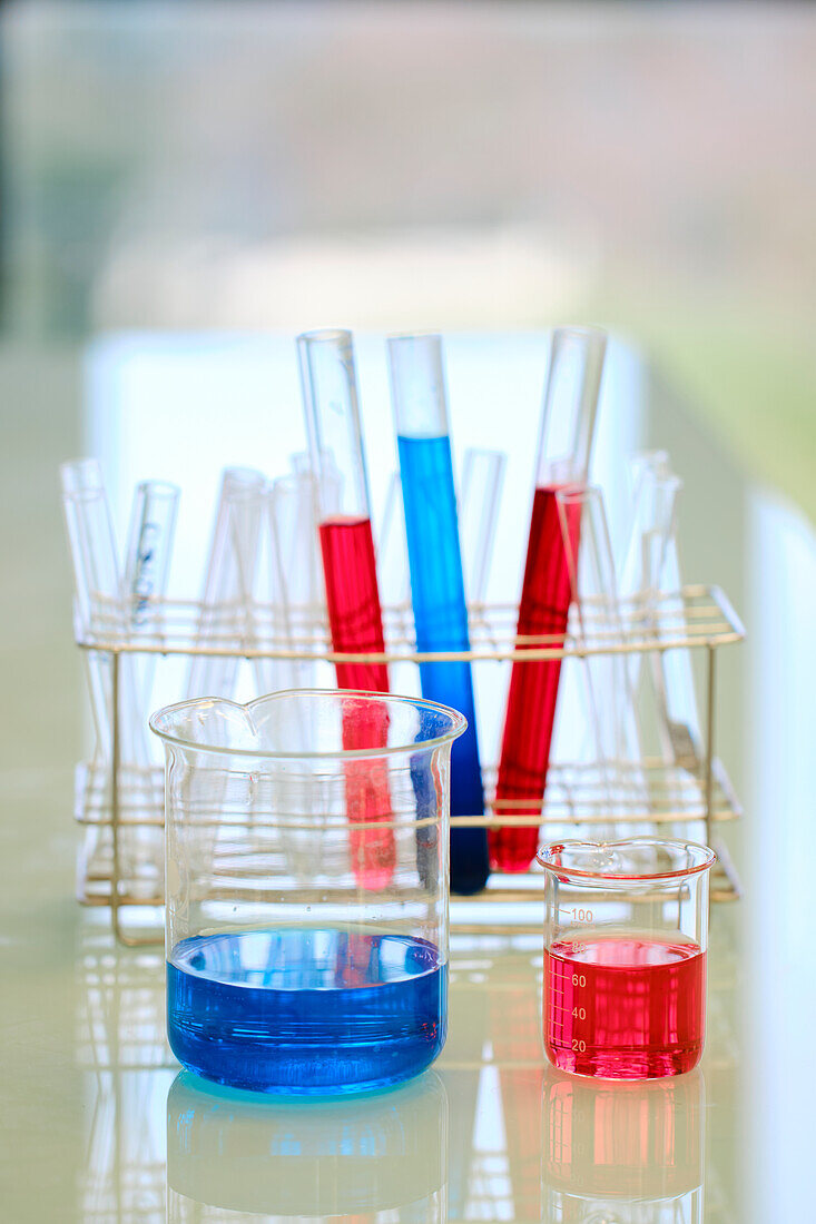 Glass flask and test tubes in a laboratory