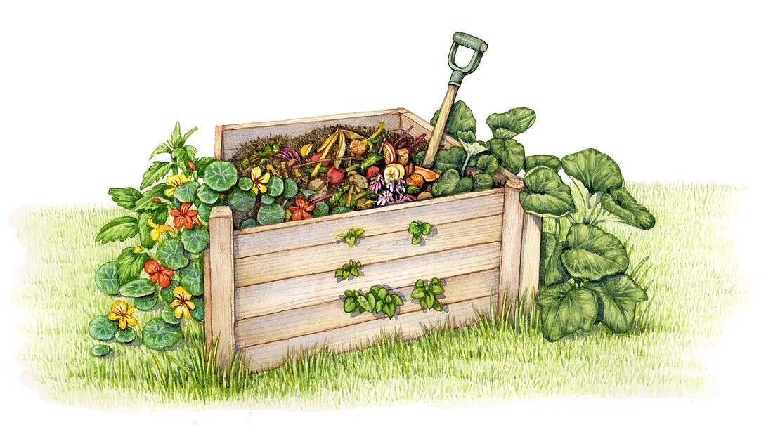 Compost heap, illustration