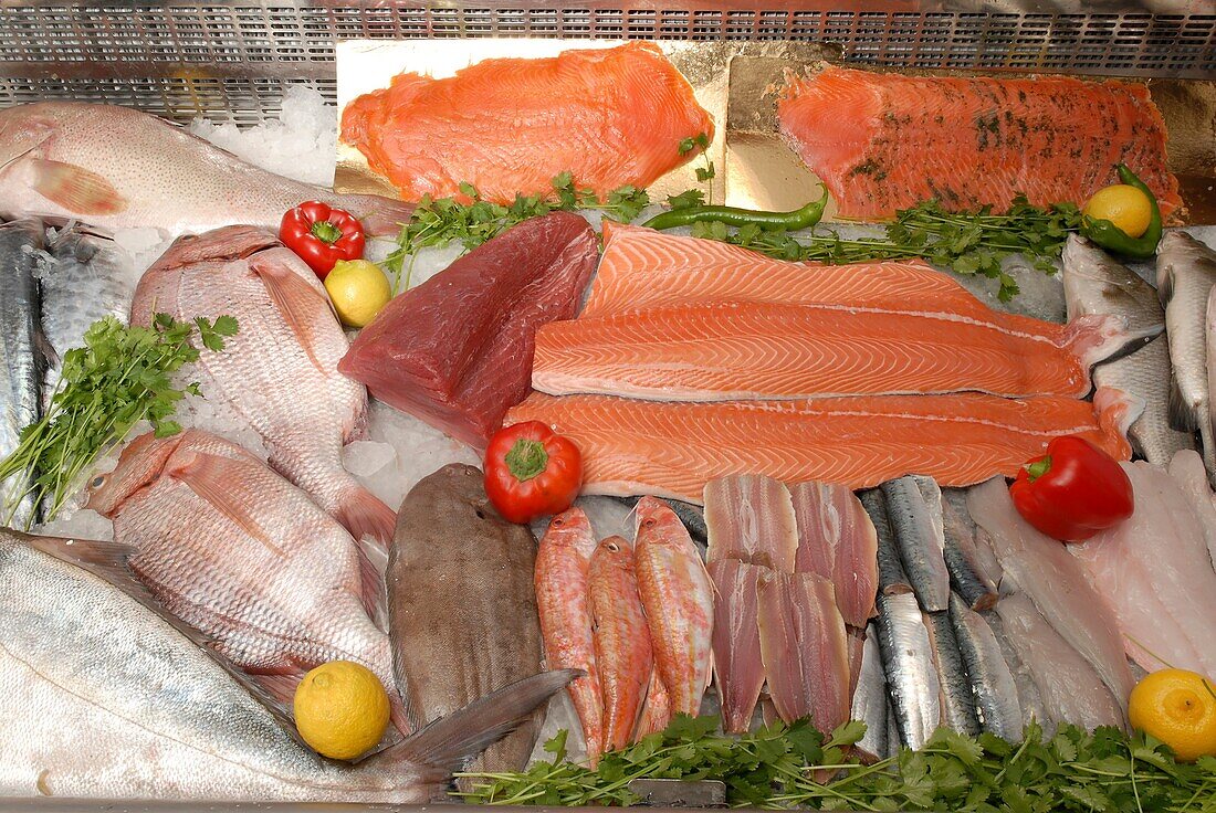 Various fish fillets on ice