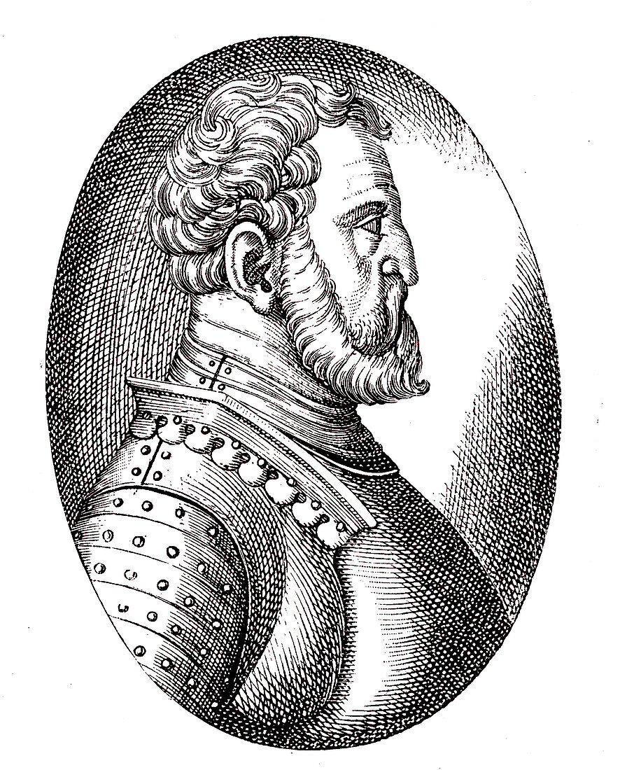 Duke Alfonso I d' Este, illustration