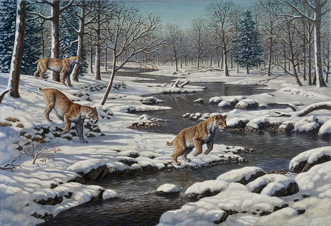 Homotherium sp. mammals crossing a river, illustration