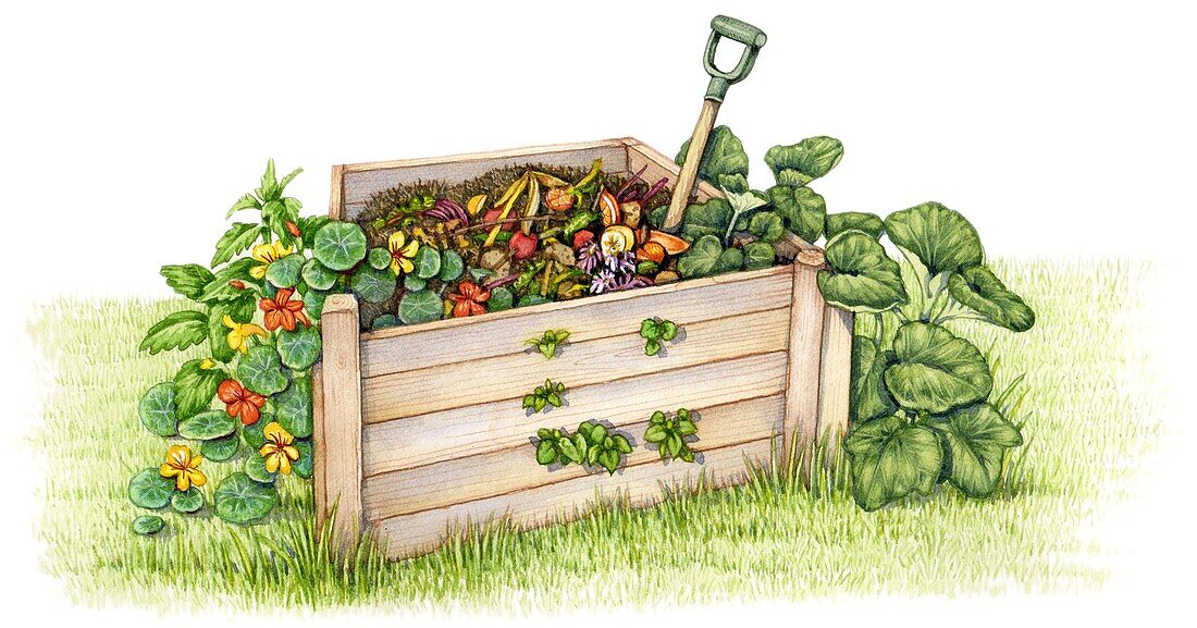 Wooden compost bin, illustration