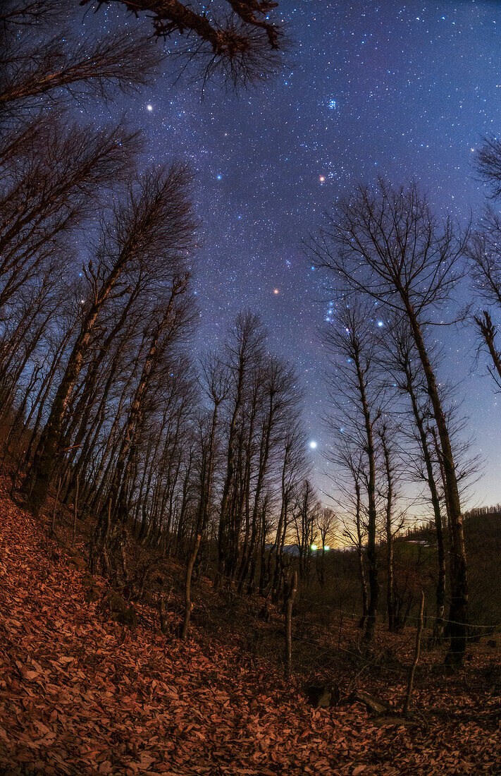 Winter constellations over Hyrcanian Forests, Iran