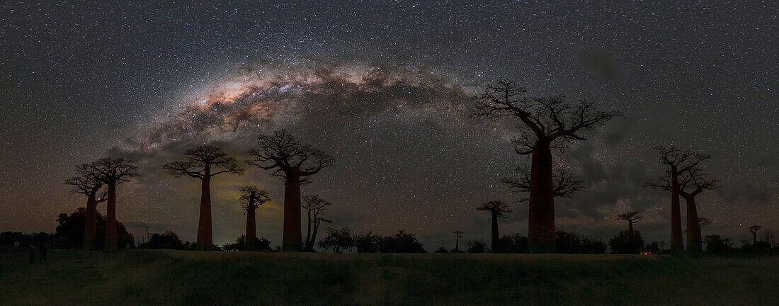 Milky Way arch over baobab trees, Madagascar