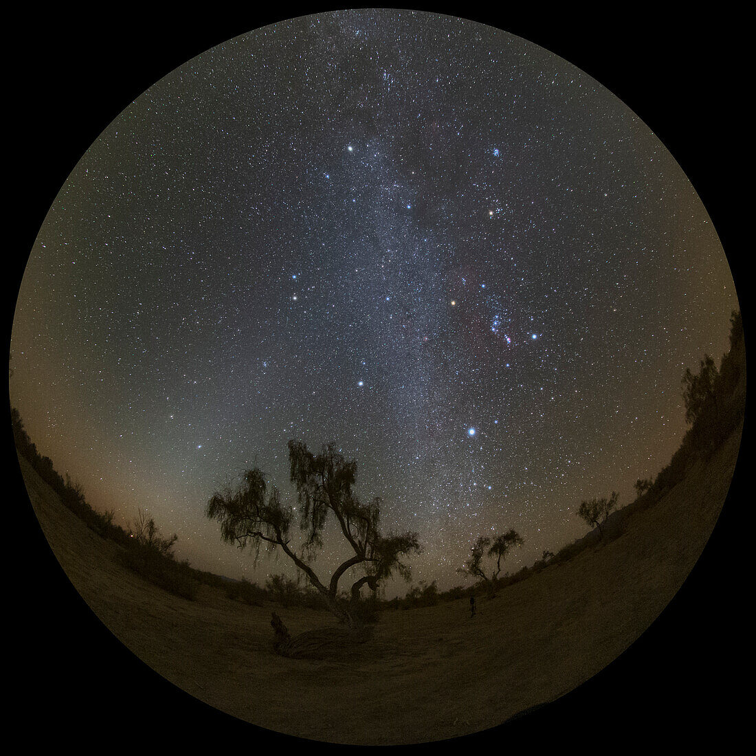 Winter constellation over desert