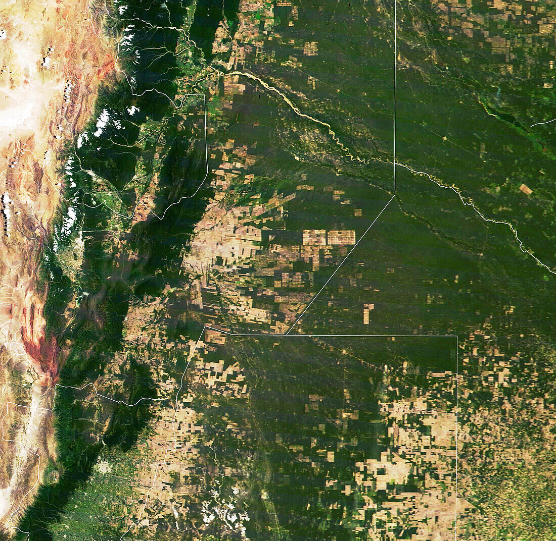 Deforestation in Gran Chaco, Argentina, satellite image