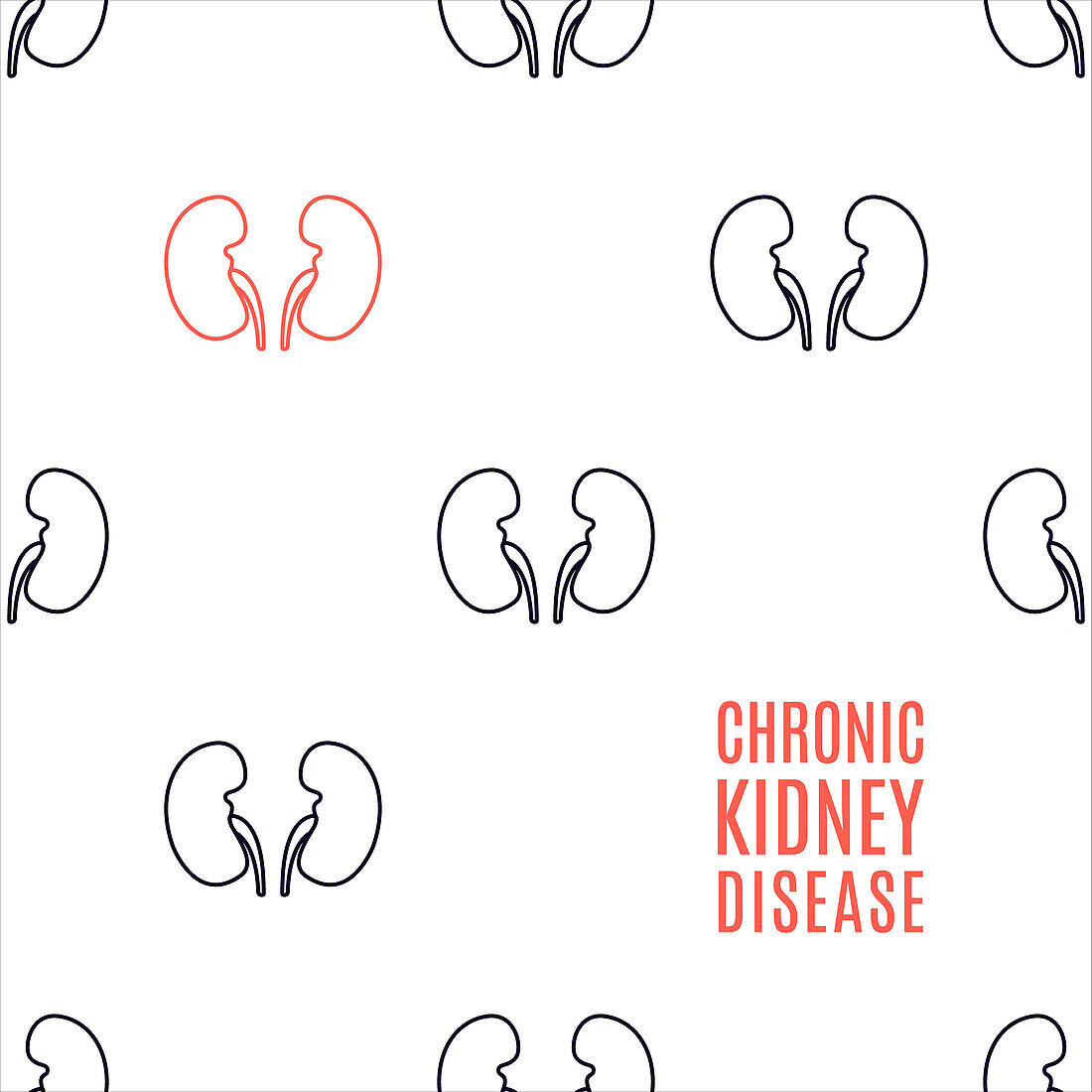 Chronic kidney disease, conceptual illustration