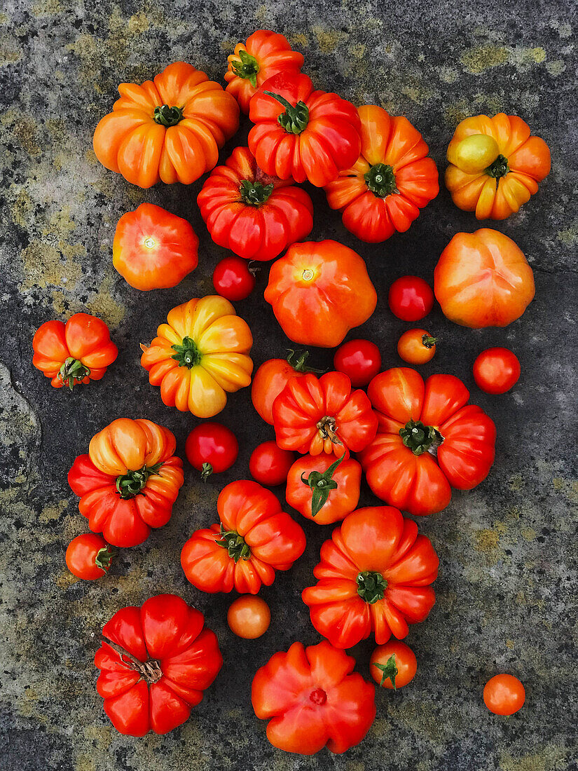 Fresh tomatoes