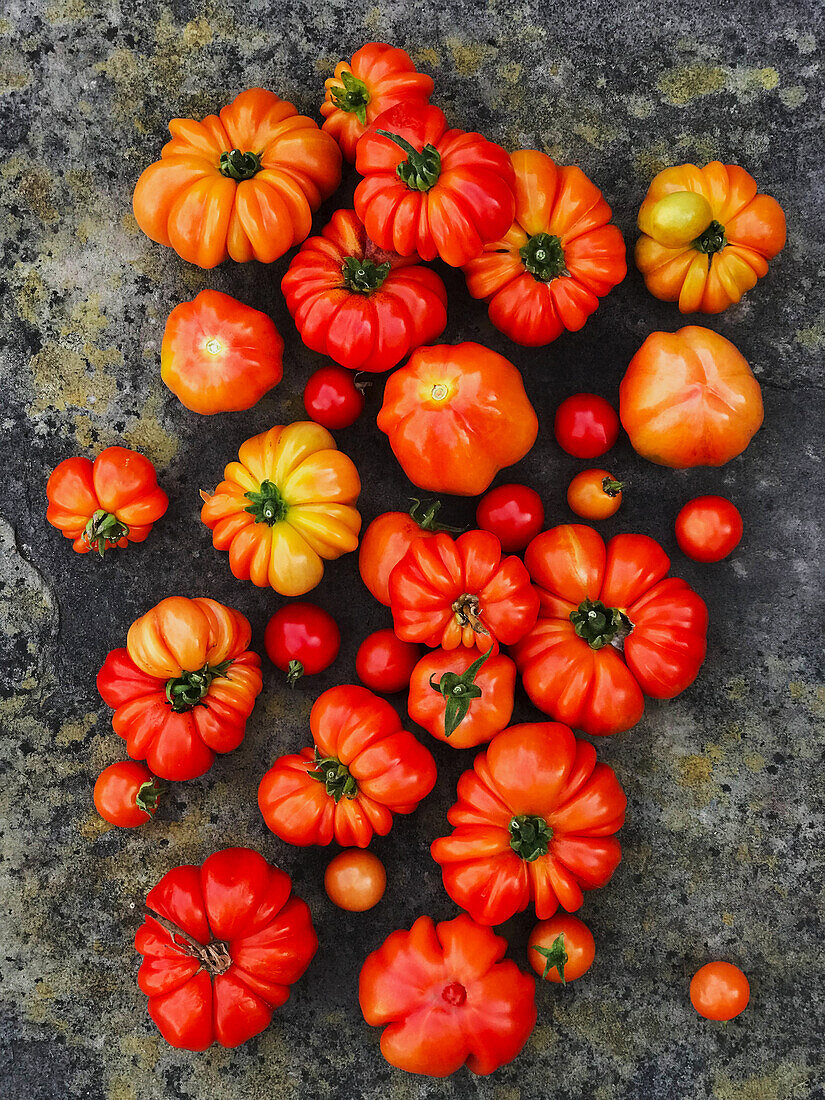 Frische Tomaten