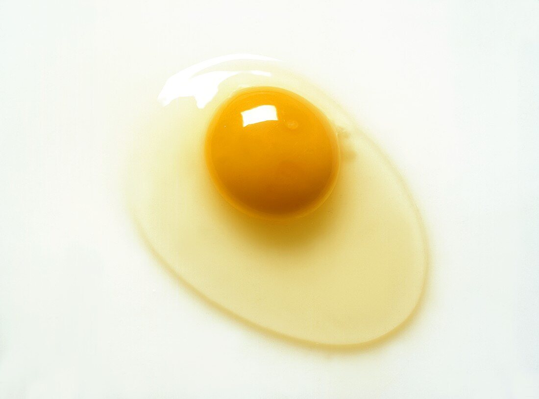 Frisches aufgeschlagenes Ei