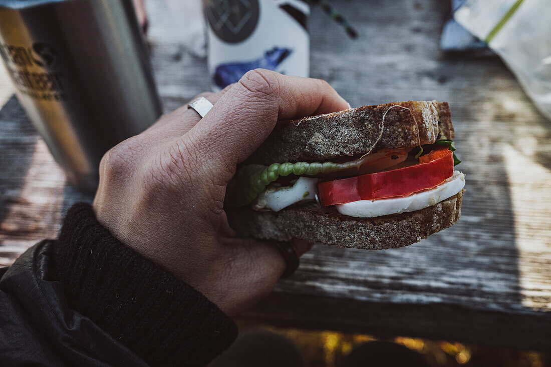 Hand hält Sandwich