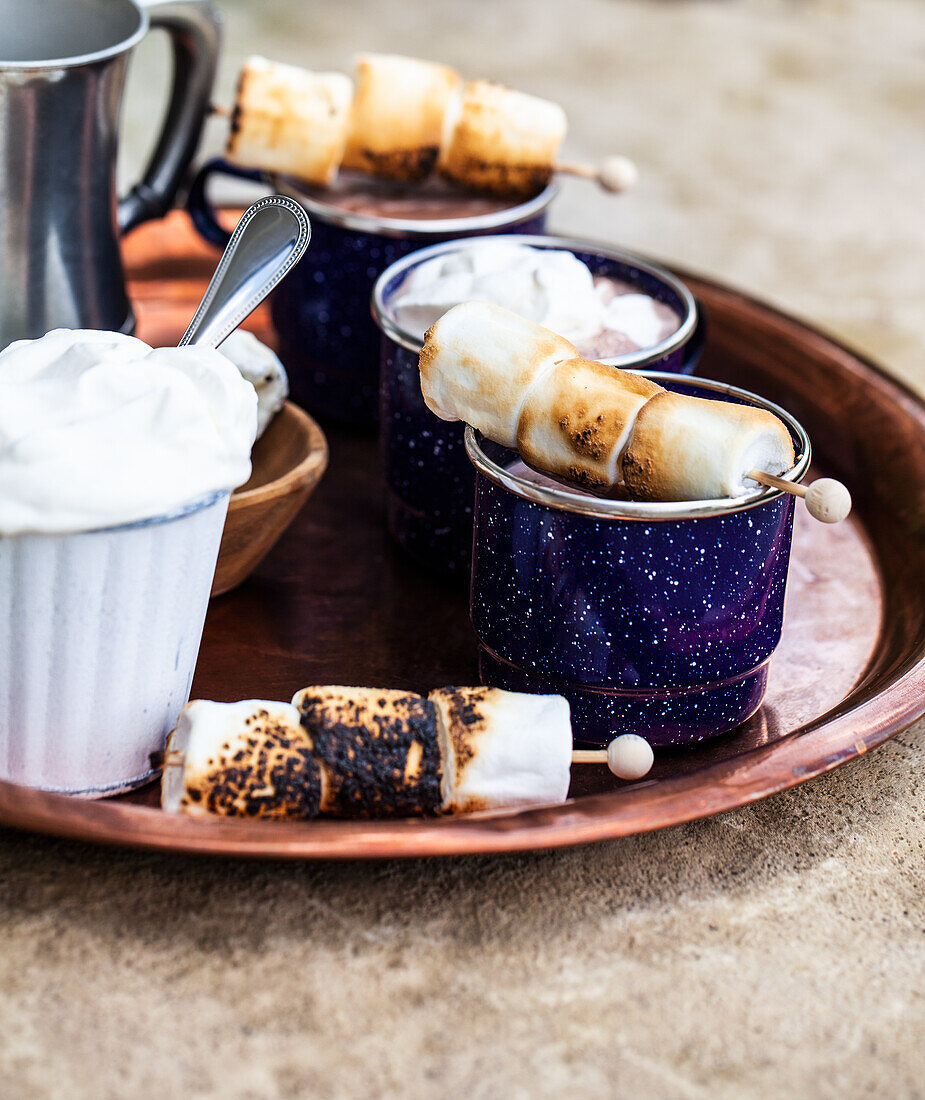 Enamel mugs of hot chocolate, whipped cream, and skewers of roasted marshmallows