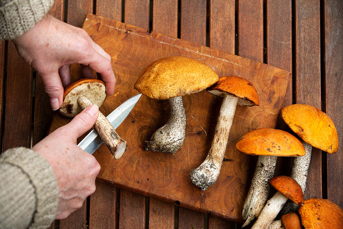 Hands preparing wild mushrooms