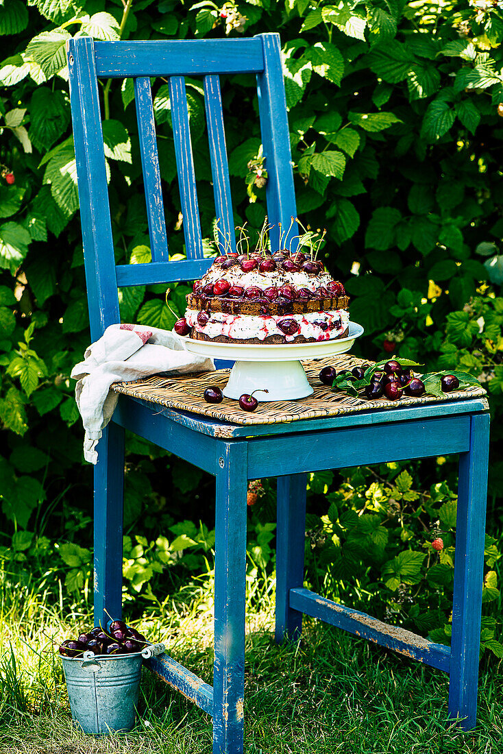 Layered Chocolate cake with cherries, cream, and poppy seeds on a chair in the garden