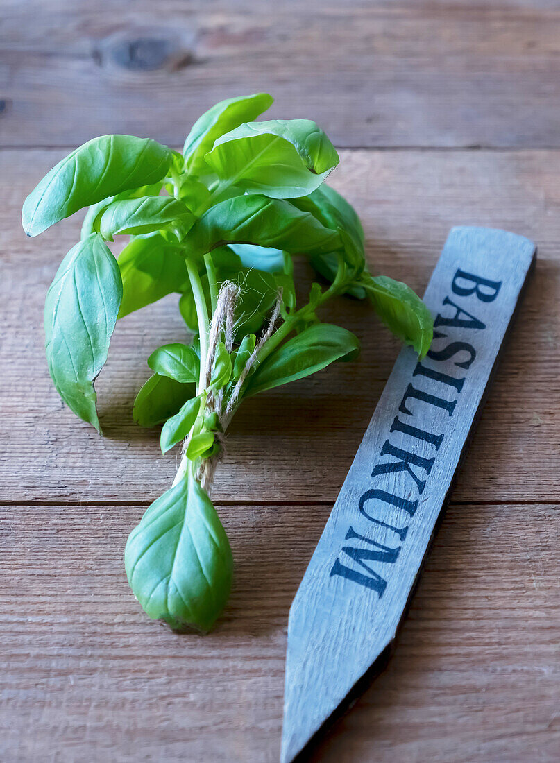 A bunch of basil on a wooden table