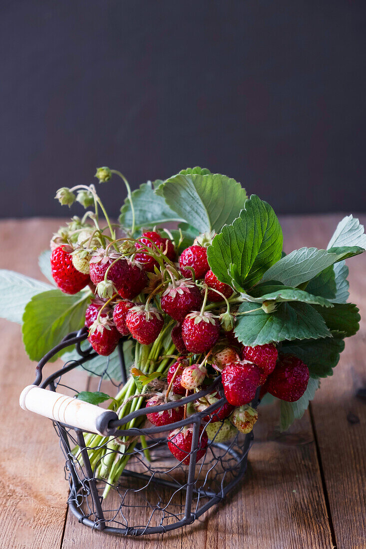 Strawberries in a small rustic french wire basket