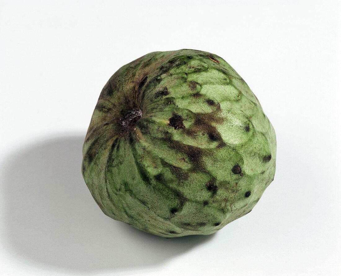 Cherimoya (Rahmapfel, Custard Apple, Annona cherimola)