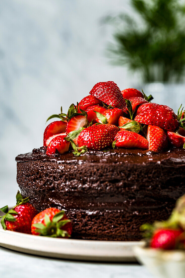 Schokoladenkuchen mit frischen Erdbeeren