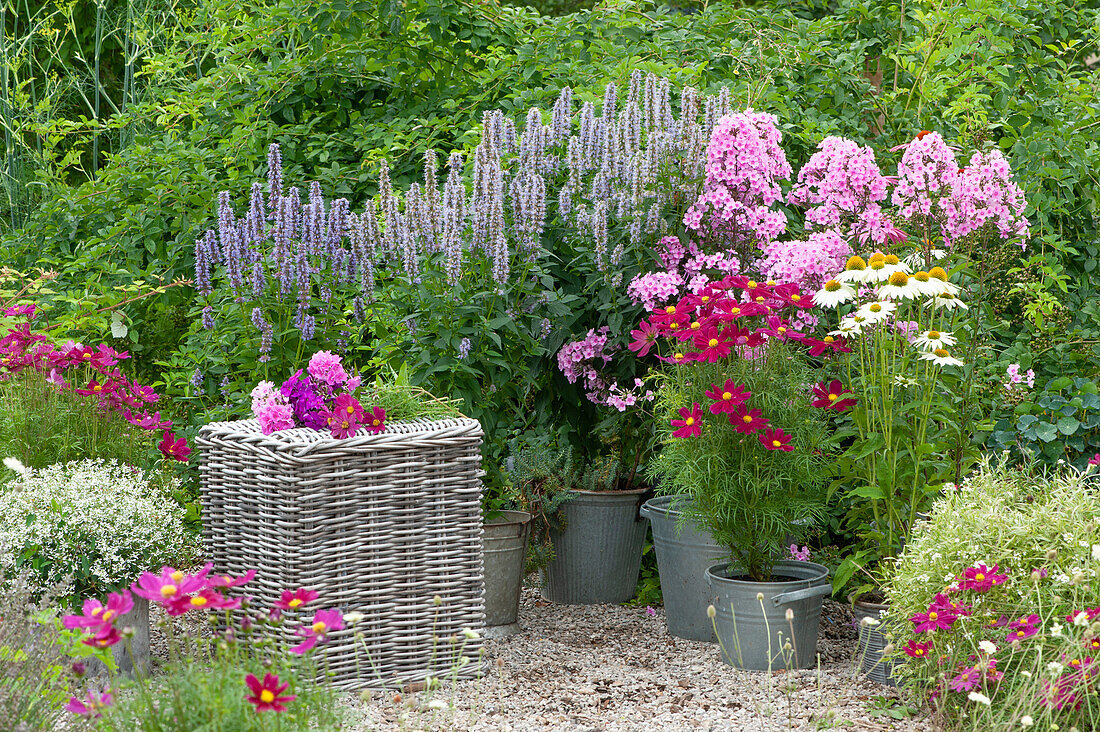 Gravel terrace with Anise hyssop 'Blue Fortune', summer phlox 'Miss Pepper', echinacea 'Meditation White', ornamental basket and graceful spurge, wicker stool as a seat