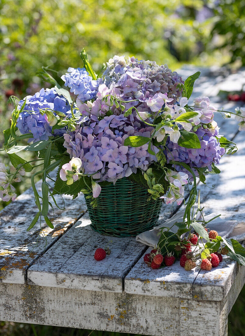 Bouquet of hydrangea flowers and Broad-leaved sweet pea in basket