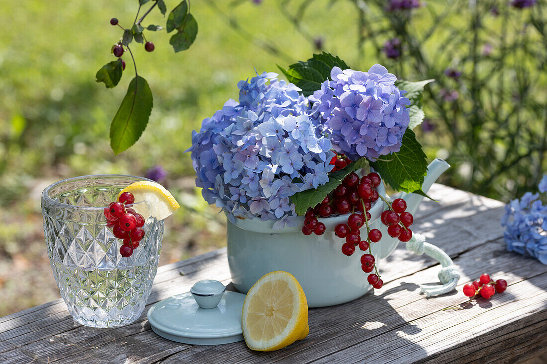 Kleines Sommergesteck mit blauen Hortensienblüten und roten Johannisbeeren, Glas mit Zitrone und Johannisbeere