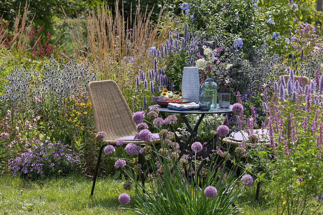 Gemütlicher Sitzplatz am Staudenbeet mit Duftnessel 'Blue Fortune' 'Apache Sunset', Mannstreu 'Glitter Blue', Färberkamille, Gräsern, Prachtkerze, Petunie, Berglauch, Bleiwurz und Knöterich im Hintergrund, Gläser, Krug und Blumenstrauß auf dem Tisch