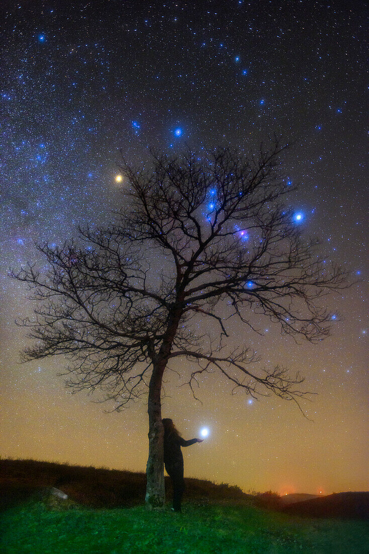 Stargazing holding Sirius