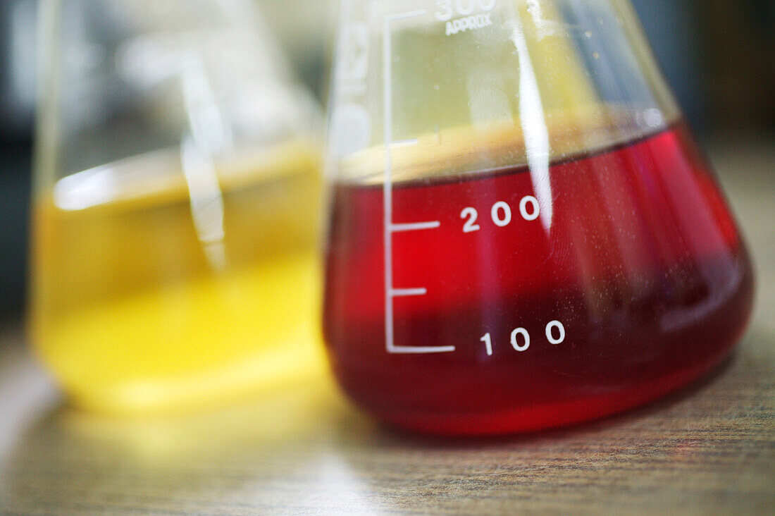 Erlenmeyer flasks containing coloured liquid