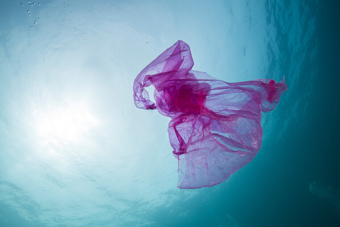 Plastic bag in ocean