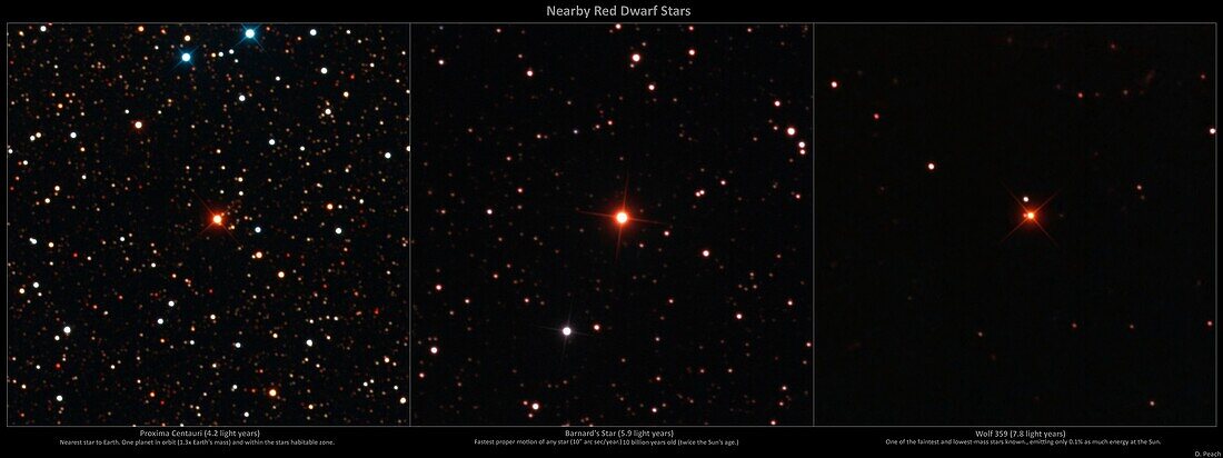 Three nearby red dwarf stars
