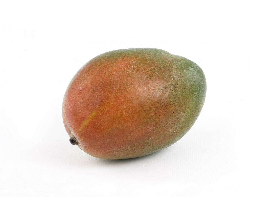 Mango, close-up