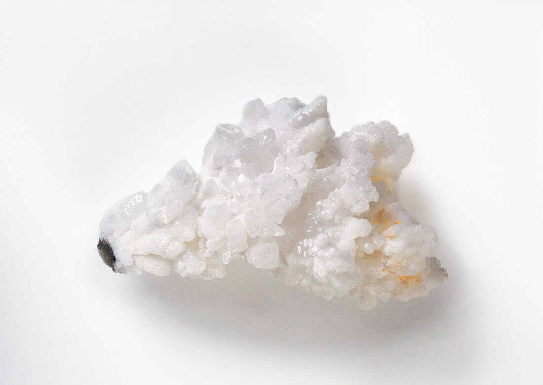 Tree calcite