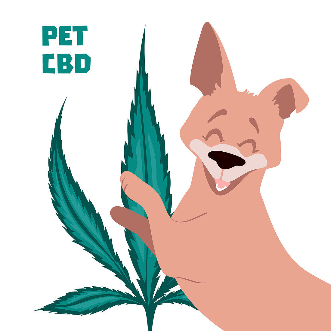CBD oil for dogs, conceptual illustration