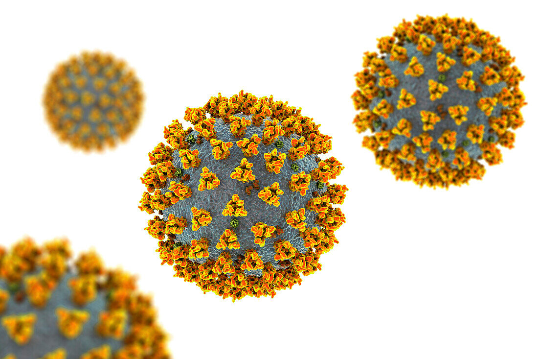 Covid-19 coronavirus particles, illustration