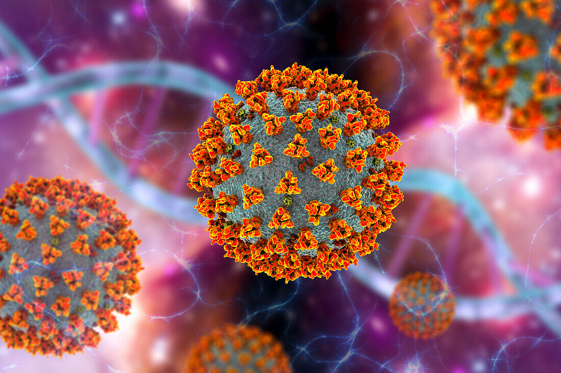 Covid-19 coronavirus particles, illustration