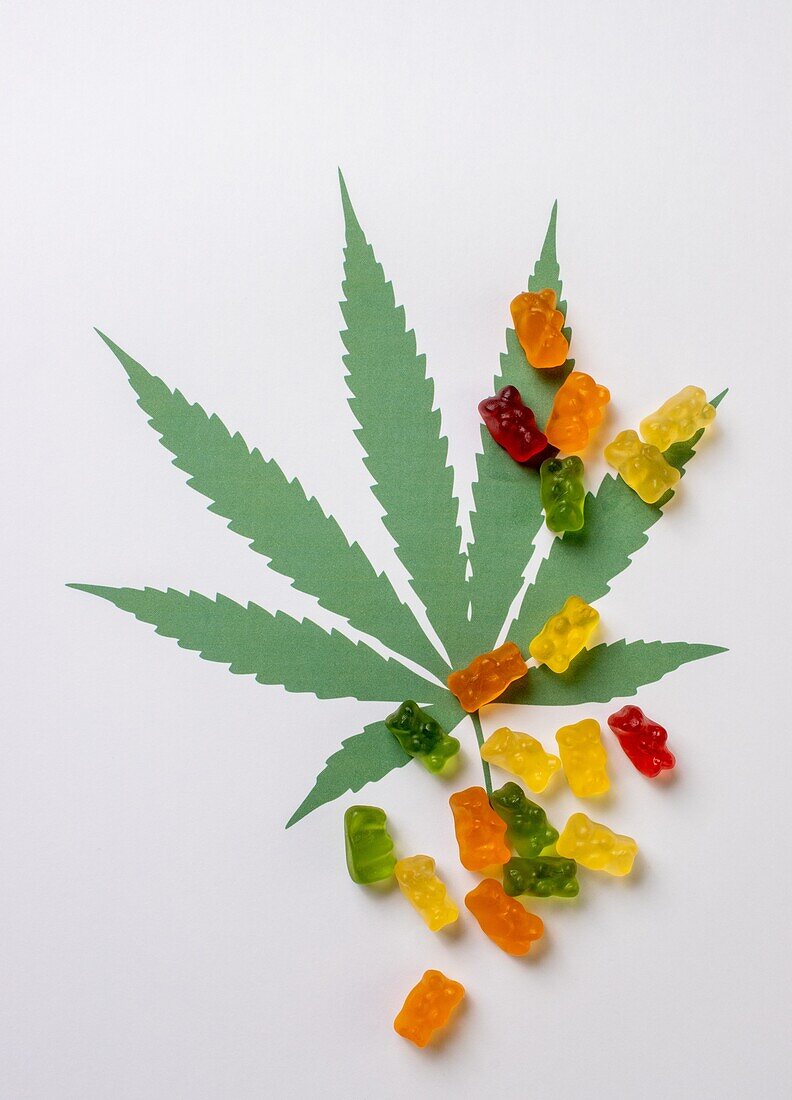Cannabis infused gummy bears, conceptual image