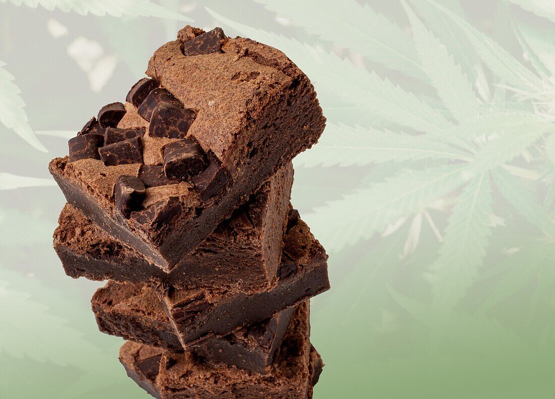 Cannabis brownies, conceptual image