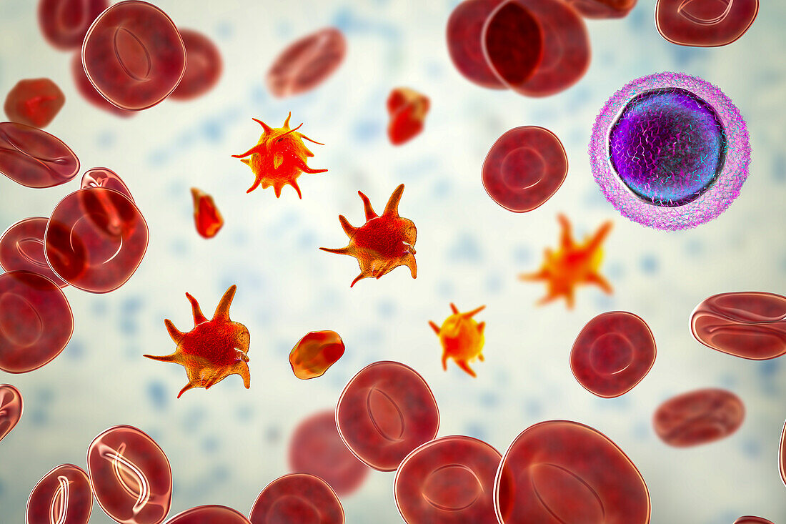 Activated platelets, illustration