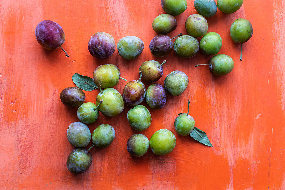 Green and purple plums