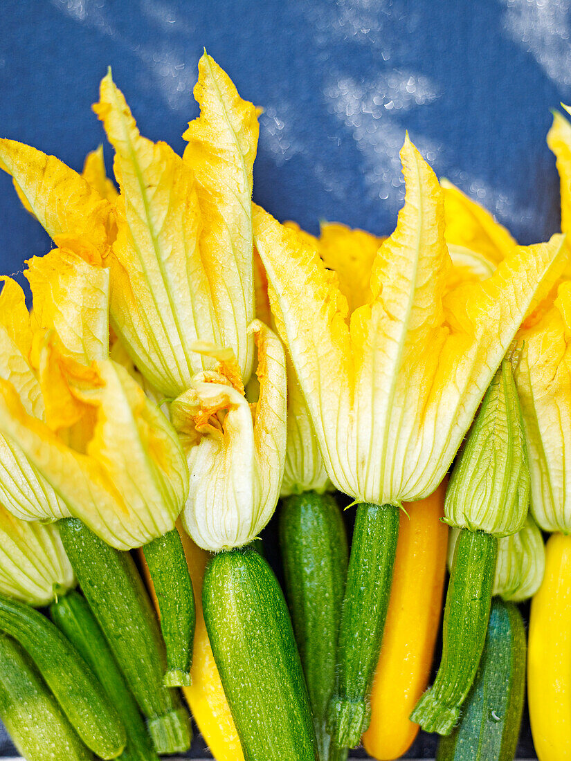 Zucchini with flowers