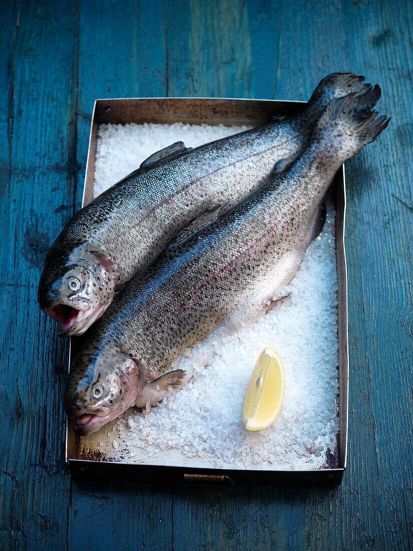 Fresh trout on ice