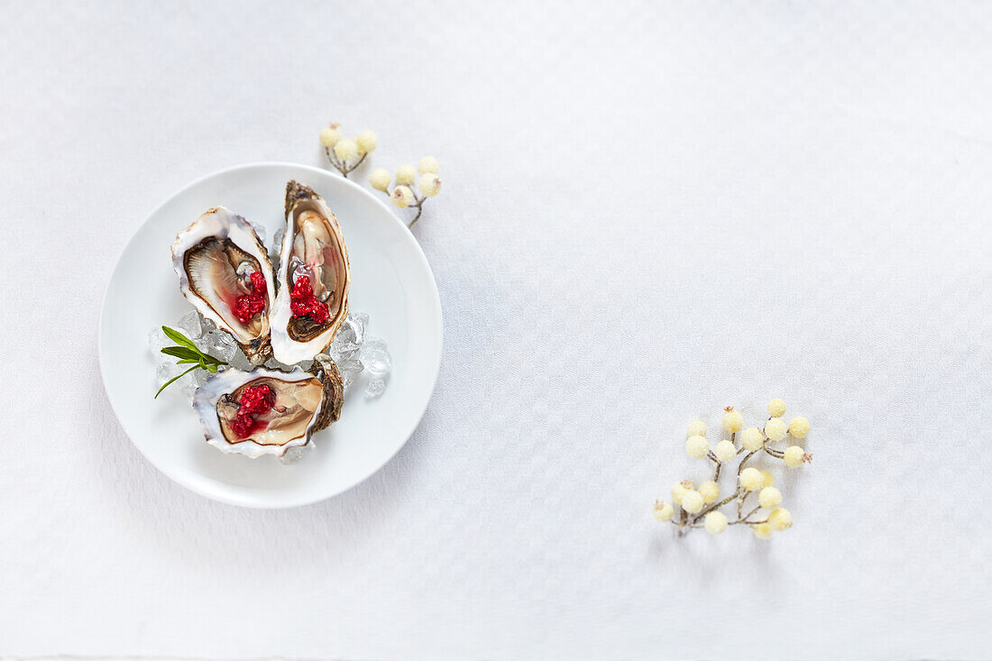 Fines de Claire - Breton oysters with raspberry vinaigrette