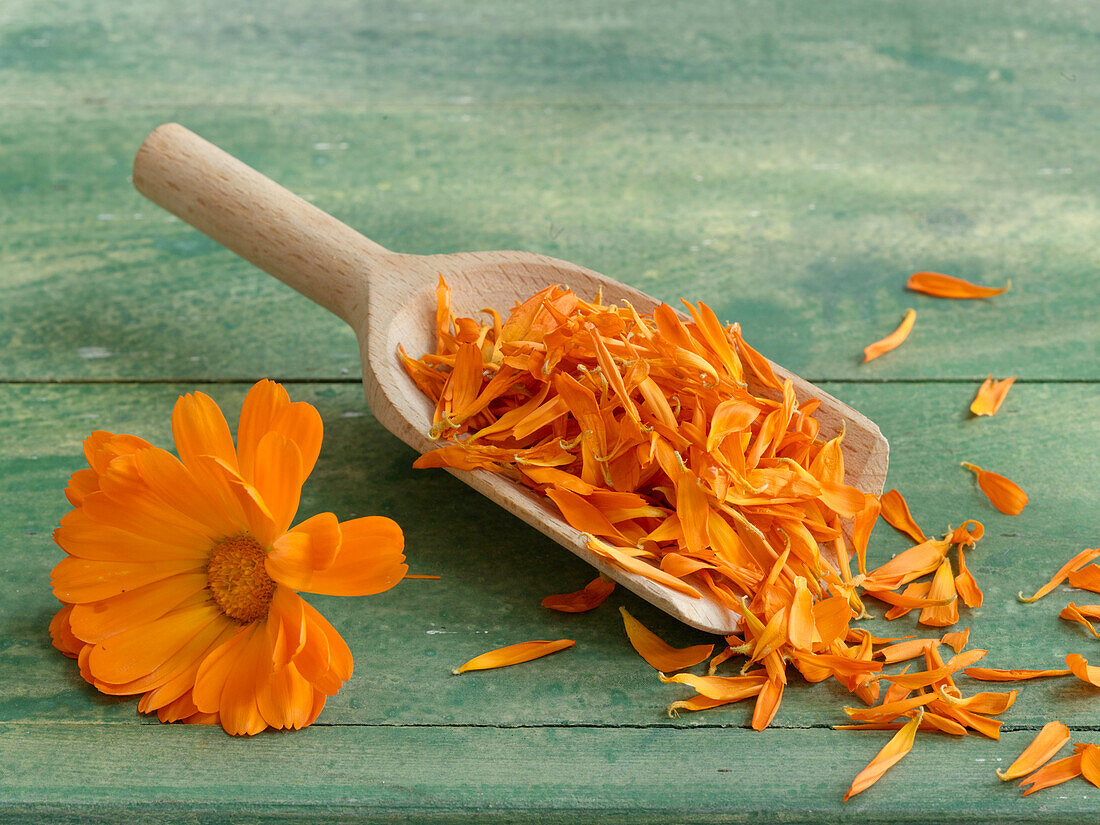 Marigold petals