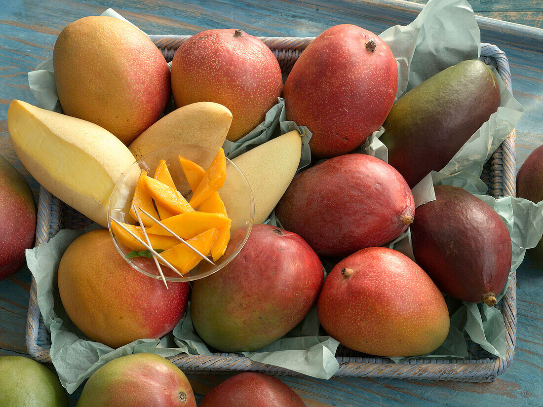 Vier verschiedene Sorten Mango: Carabao, Kent, Irwin, Sheil Mango