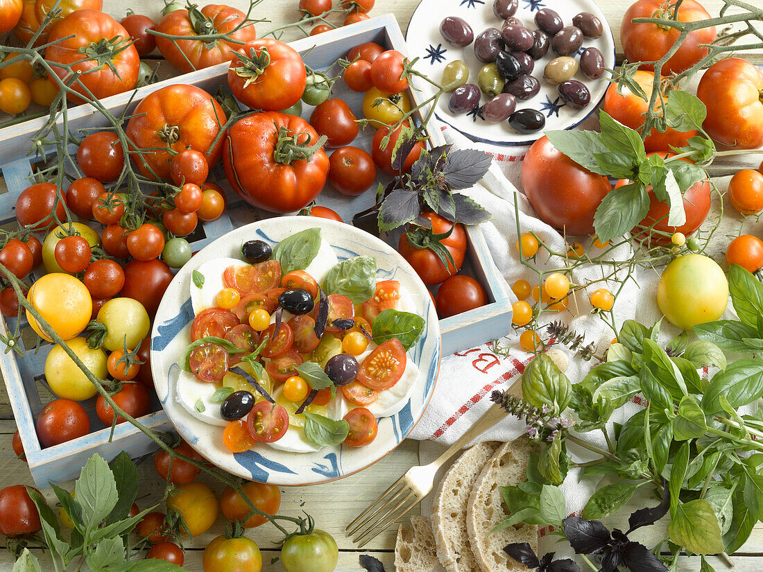 Insalata Caprese mit Zutaten